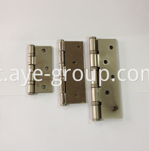 stainless hinges (1)